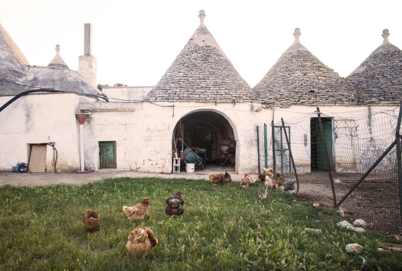 Trulli Sul Vignale In Masseria Santalachicca Martina Franca Zewnętrze zdjęcie